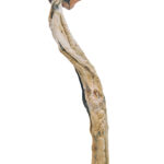 Mazatapec Magic Mushrooms